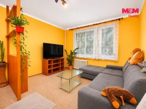 Prodej bytu 1+1, Vysoké Mýto - Litomyšlské Předměstí, U Potoka, 38 m2