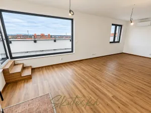 Pronájem bytu 3+kk, Hodonín, 150 m2