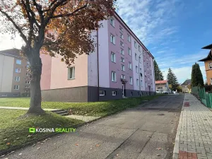 Prodej bytu 2+1, Kynšperk nad Ohří, Svatopluka Čecha, 54 m2