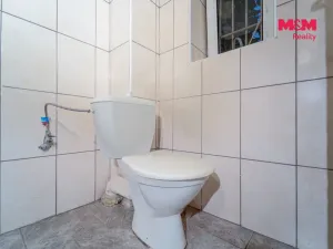 Pronájem obchodního prostoru, Plzeň - Jižní Předměstí, Tylova, 36 m2