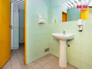 Pronájem kanceláře, Pardubice - Zelené Předměstí, 28 m2