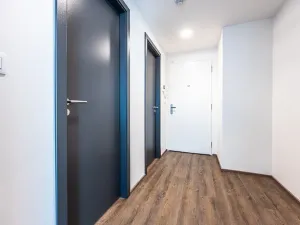 Pronájem bytu 2+kk, Praha - Žižkov, Jana Želivského, 53 m2