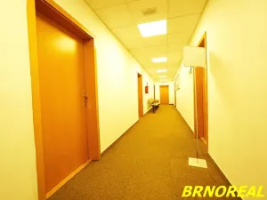 Pronájem kanceláře, Brno, Příkop, 20 m2