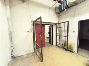 Pronájem obchodního prostoru, Ústí nad Labem, Masarykova, 282 m2