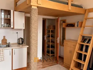 Prodej bytu 1+kk, Plzeň - Východní Předměstí, Koterovská, 25 m2