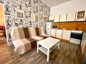 Pronájem bytu 1+1, Brno, Pekařská, 28 m2