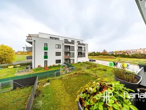 Pronájem bytu 2+kk, Uničov, Pionýrů, 55 m2