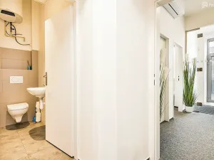 Pronájem kanceláře, Brno, Plotní, 93 m2