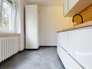 Pronájem bytu 1+1, Ústí nad Labem - Ústí nad Labem-centrum, SNP, 30 m2