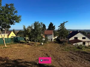 Prodej pozemku pro bydlení, Olšany, 6031 m2