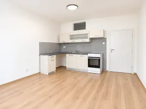 Prodej bytu 1+1, Brno, Bělohorská, 53 m2
