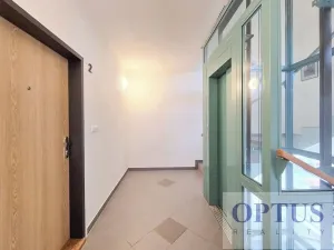Pronájem bytu 4+1, Praha - Liboc, U silnice, 200 m2