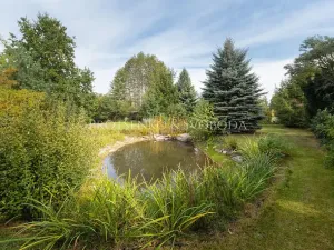 Prodej ubytování, Trhové Sviny, Rejta, 800 m2