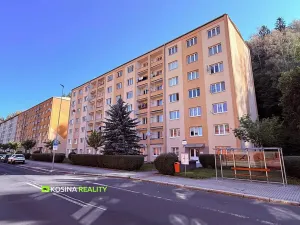 Pronájem bytu 1+1, Kraslice, Čs. armády, 37 m2