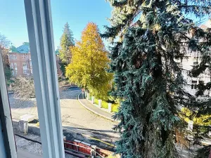 Prodej bytu 2+1, Karlovy Vary, Poděbradská, 56 m2