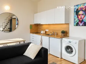 Pronájem bytu 1+kk, Praha - Smíchov, Radlická, 24 m2