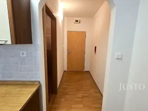 Pronájem bytu 1+1, Písek, Harantova, 35 m2