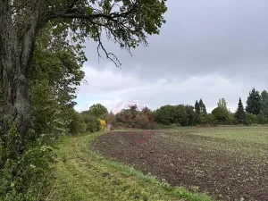 Prodej pozemku pro bydlení, Stračov, 8252 m2