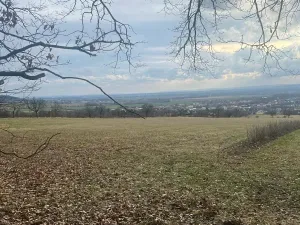 Prodej louky, Bělkovice-Lašťany, 27123 m2