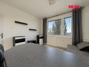 Pronájem bytu 1+kk, Chomutov, Bezručova, 20 m2