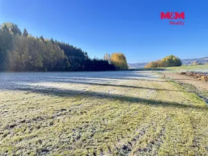Prodej louky, Česká Třebová, 9144 m2