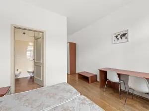 Prodej bytu 2+1, Praha - Žižkov, Bořivojova, 77 m2