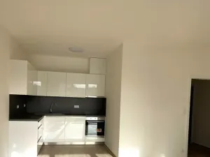 Prodej bytu 2+kk, Brno, Střední, 58 m2