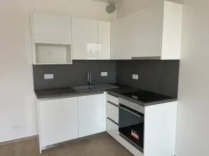 Prodej bytu 1+kk, Brno, Střední, 42 m2