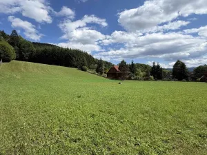 Prodej pozemku pro bydlení, Nový Hrozenkov, 6138 m2