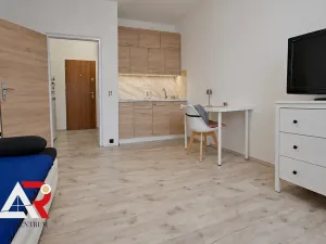 Pronájem bytu 1+kk, Brno, Halasovo náměstí, 24 m2