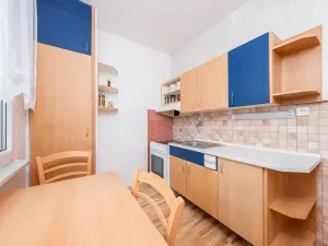 Pronájem bytu 1+1, Heřmanův Městec, V Lukách, 34 m2