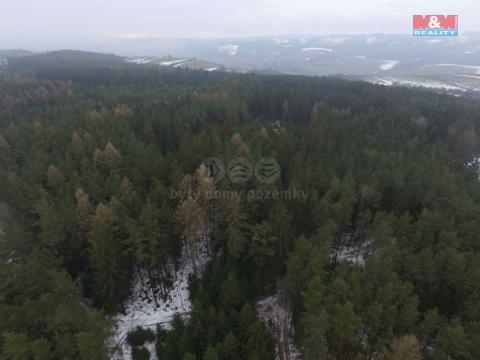 Prodej lesa, Jablonec nad Jizerou - Buřany, 16113 m2
