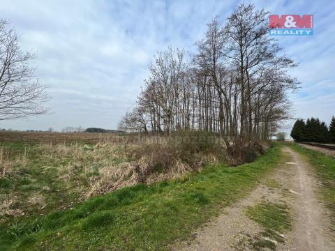 Prodej trvalého travního porostu, Boršov nad Vltavou, 1467 m2