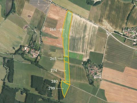 Prodej zemědělské půdy, Němčice, 137556 m2