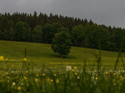 Prodej podílu pozemku, Útvina, 6629 m2