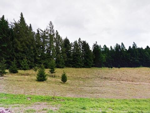 Prodej trvalého travního porostu, Lužná, 4894 m2