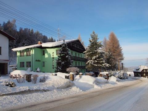 Prodej ubytování, Železná Ruda, 1085 m2