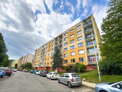 Pronájem bytu 1+1, Děčín, Na Pěšině, 35 m2