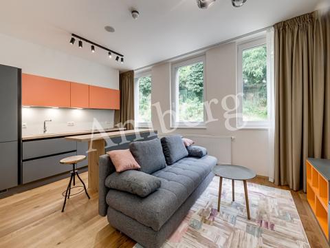 Pronájem bytu 1+kk, Praha - Vinohrady, Perucká, 26 m2