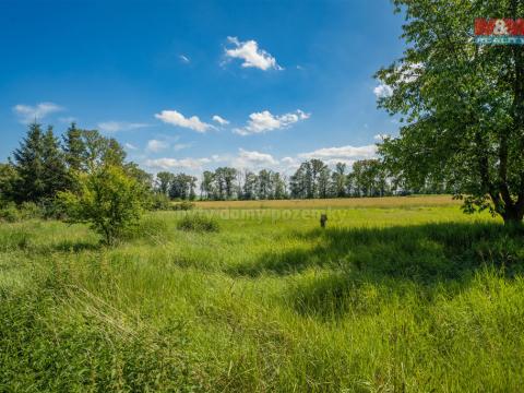 Prodej pozemku pro bydlení, Loucká, 1147 m2