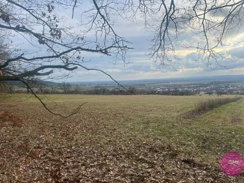 Prodej trvalého travního porostu, Bělkovice-Lašťany, 27123 m2