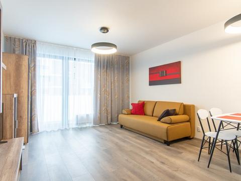 Pronájem bytu 2+kk, Praha - Karlín, Nekvasilova, 56 m2