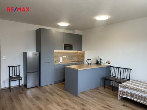 Prodej bytu 1+kk, České Budějovice, Krčínova, 42 m2