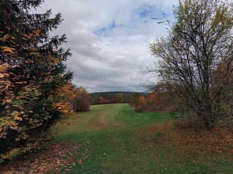 Prodej podílu louky, Samopše, 1145 m2