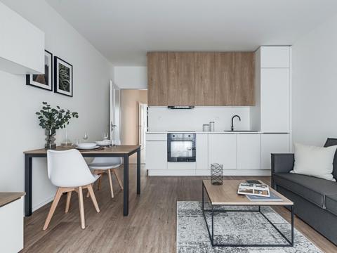 Pronájem bytu 2+kk, Praha - Karlín, Thámova, 48 m2