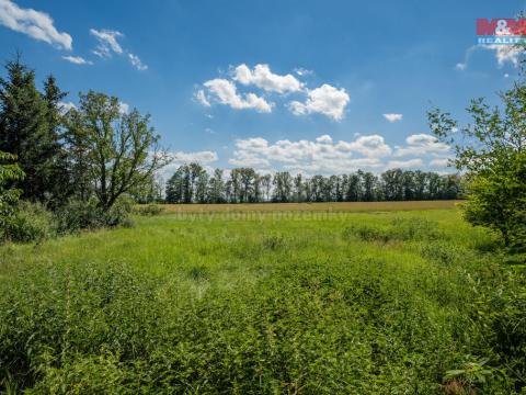 Prodej pozemku pro bydlení, Loucká, 1342 m2