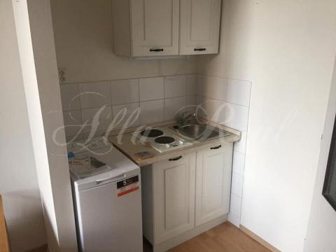 Pronájem bytu 1+kk, Nové Hrady - Veveří, 20 m2