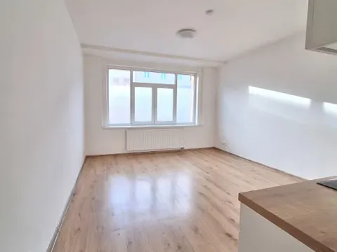 Pronájem bytu 3+kk, Praha - Břevnov, Bělohorská, 76 m2