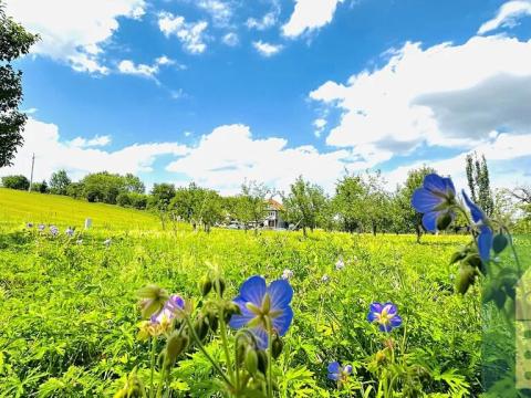 Prodej pozemku pro bydlení, Soběsuky, 1308 m2