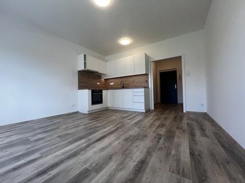 Pronájem bytu 1+kk, Karlovy Vary, Dubová, 29 m2